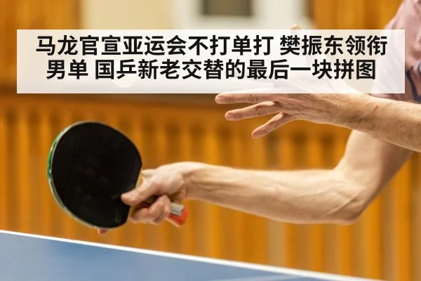 马龙官宣亚运会不打单打 樊振东领衔男单 国乒新老交替的最后一块拼图